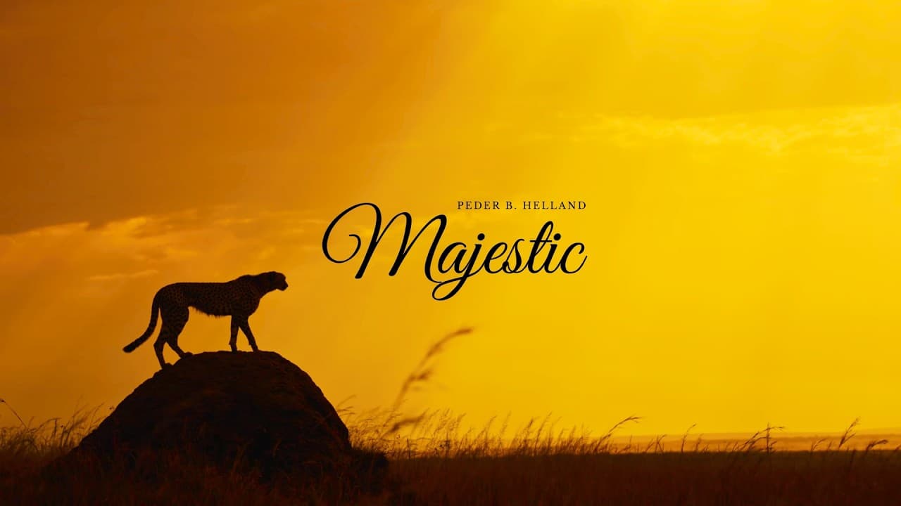Stunning Footage of Wild Africa