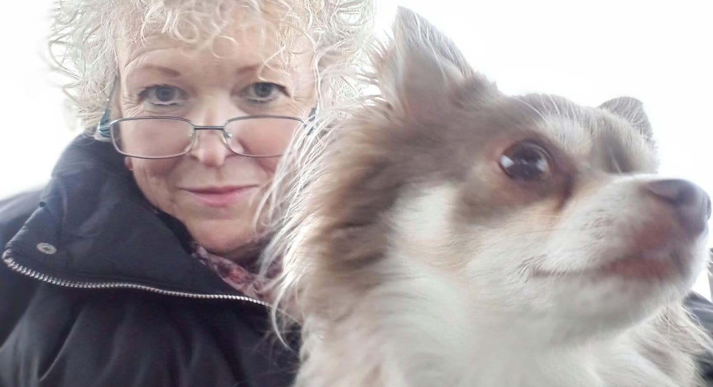 Chihuahua Won’t Stop Pawing at Her Until Owner Finds the Breast Cancer She Smelled