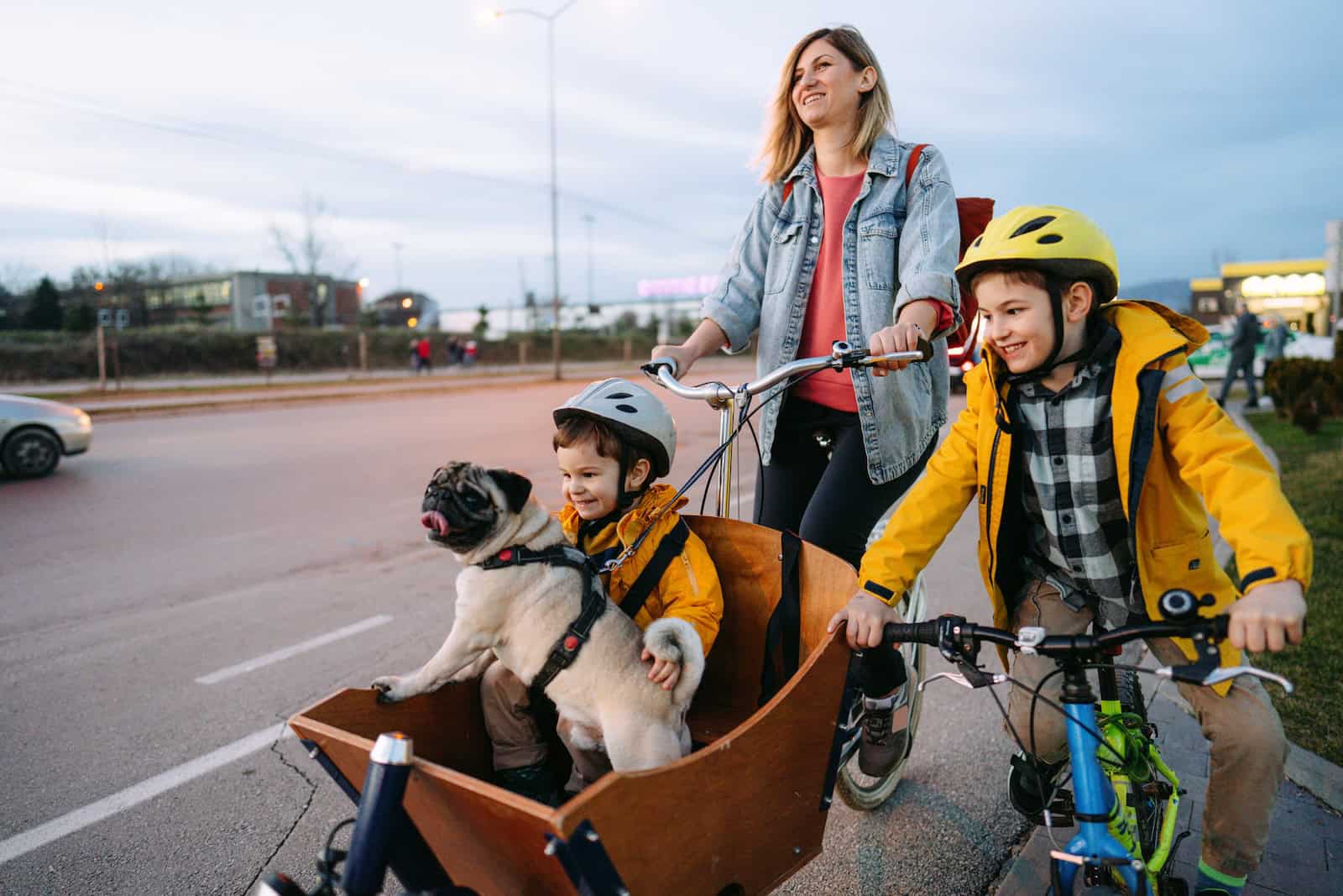 What went right this week: global road safety progress, plus more