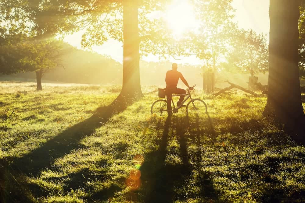 Putting a ring on it: the plan to green London’s beloved edges
