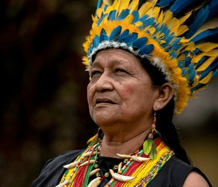 Review of How Indigenous Peoples Foster Biodiversity on Their Land
