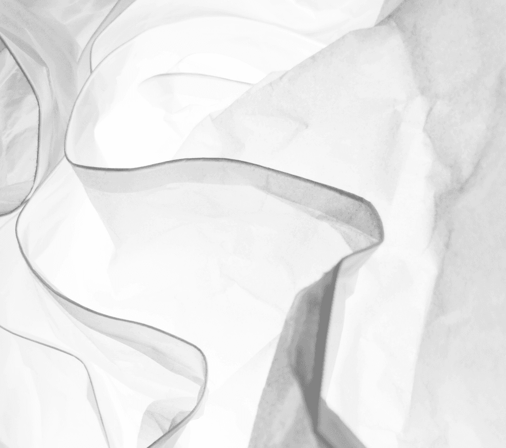 Poetry Society Votes on Top 10 Most Beautiful Words in The English Language