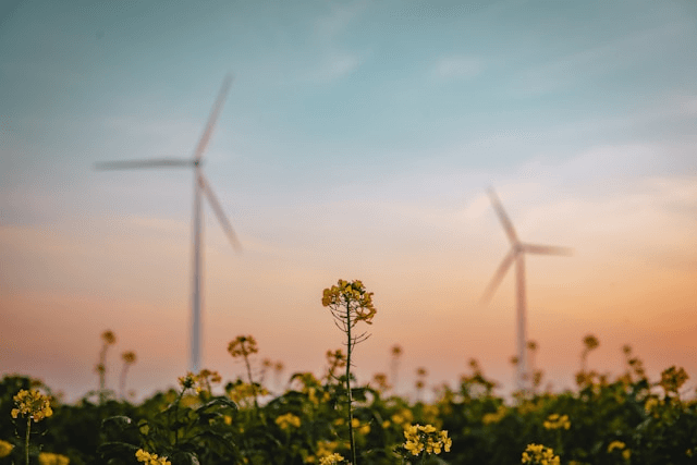 Slashing Bills: Nearly Half of Europe's Electricity is Now From Renewables