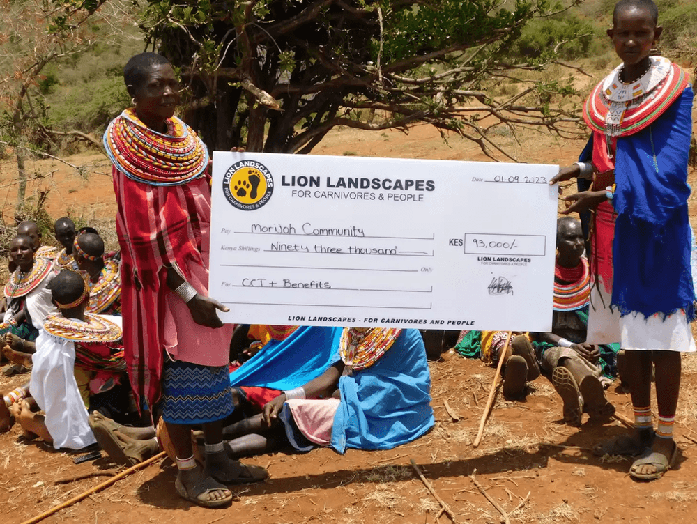 Health Benefits Help Lions And Humans Co-Exist in East Africa