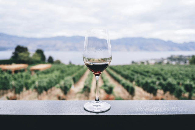 Centenarians Have These 3 Drinks in Common