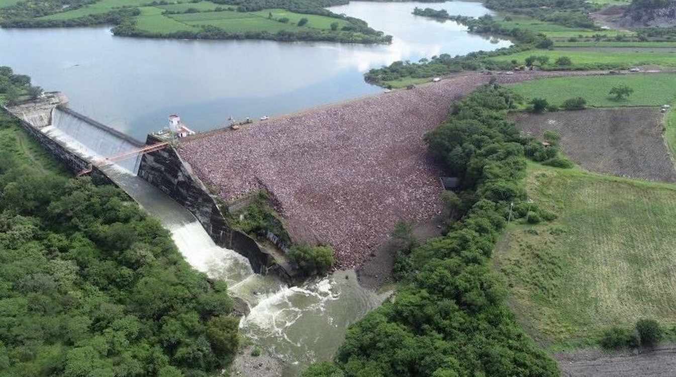 Rich Rainfall Set to Bust Mexico’s 6-year Drought