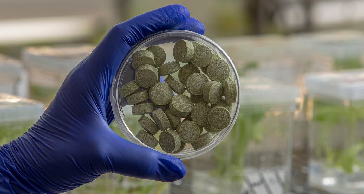 Antiviral Chewing Gum Cuts Risk of Certain Head and Neck Cancers to Almost Zero in New Study