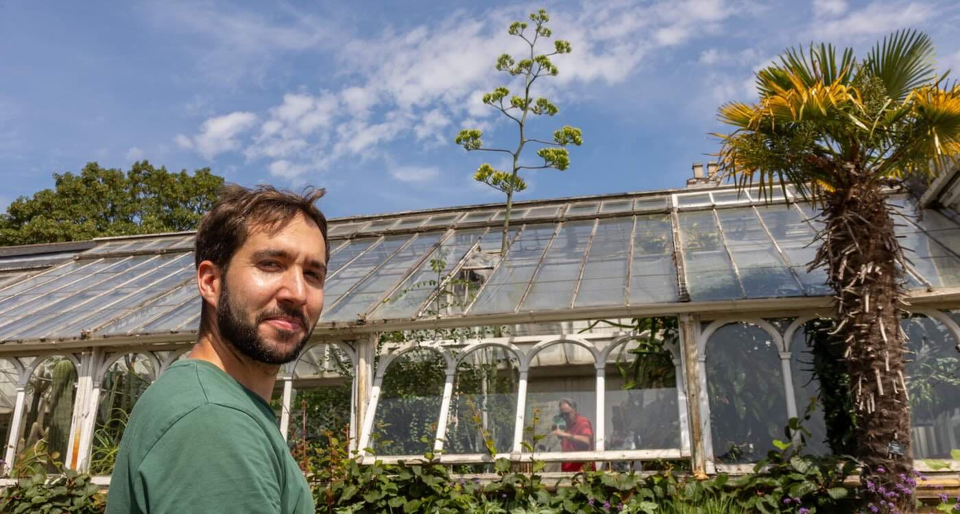 Plant’s First Flower is ‘Death Bloom’ So Tall the Greenhouse Had to Remove Ceiling Panels