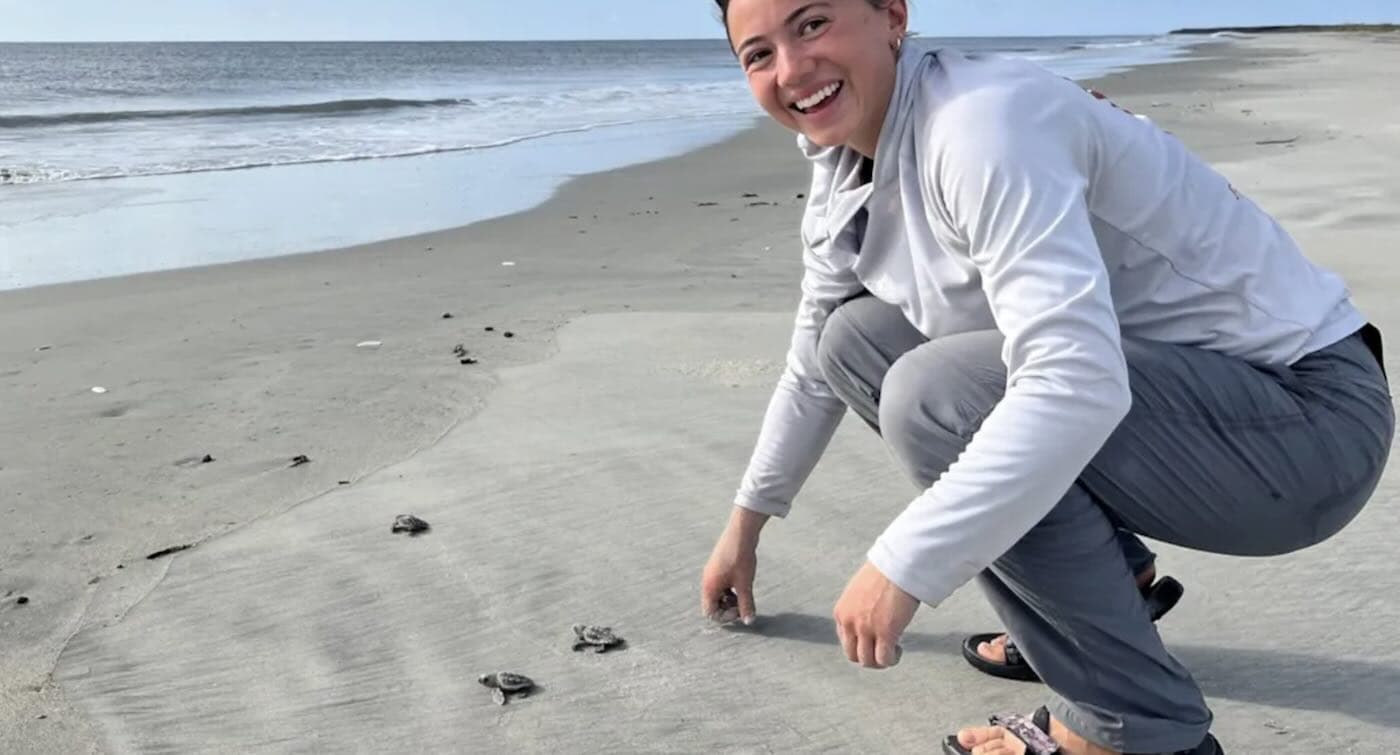 Loggerhead Sea Turtles Break Nest Record in Georgia – The Most in 37 Years