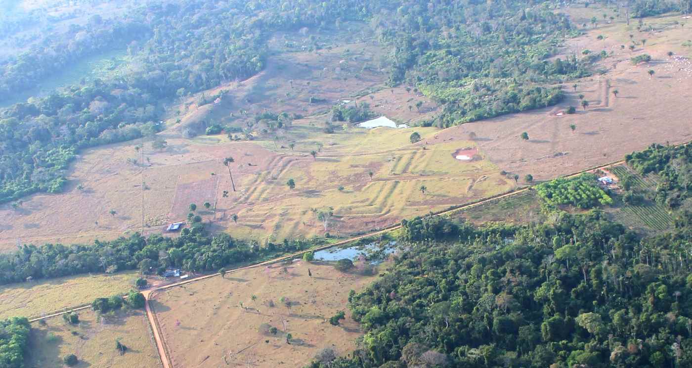 Archaeologists Triple the Scale of an Ancient Amazonian Civilization We Know Almost Nothing About