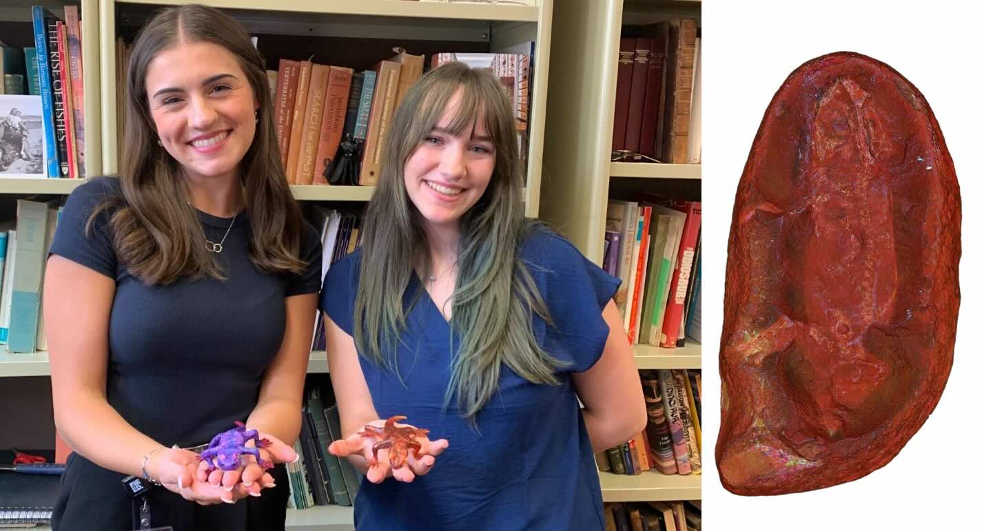Newly Identified Frog-like Creature Named by Student Scientists After Their Moms
