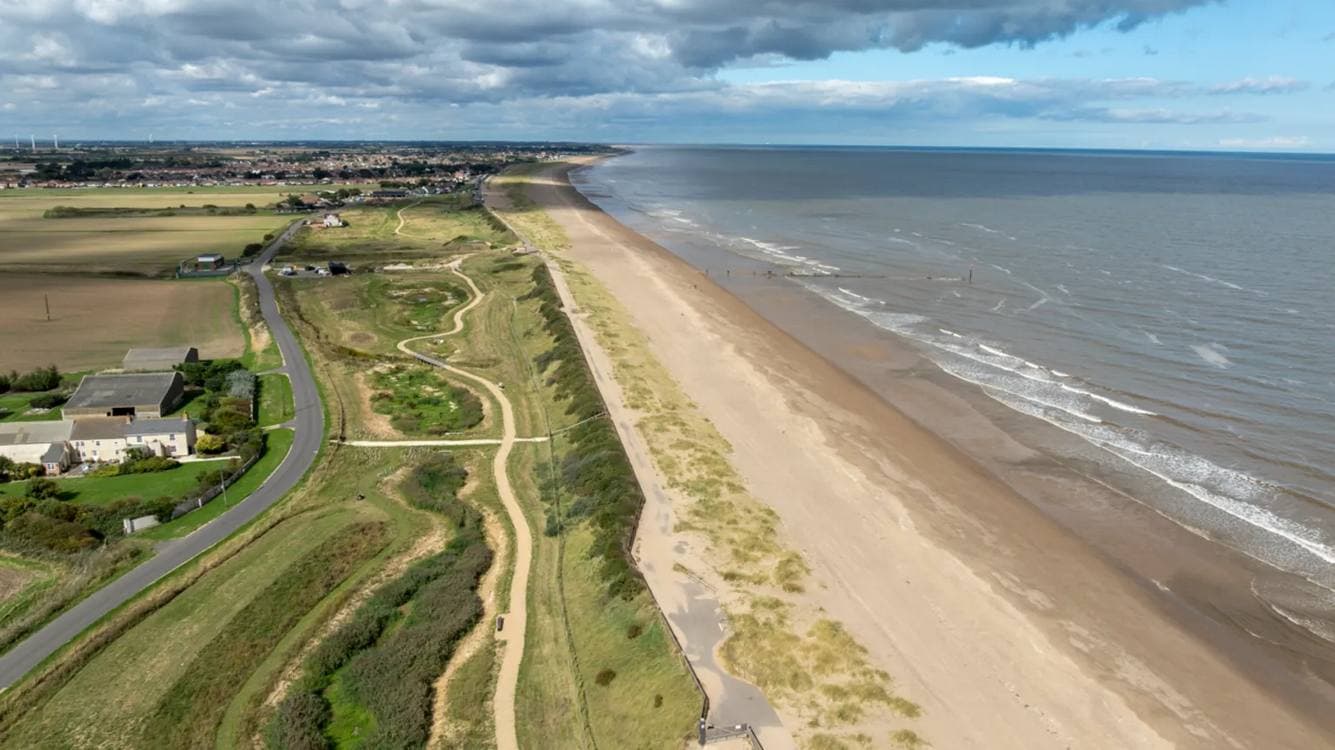 Coastal Golf Course Turned into Vital Wetland Habitat for Seabirds