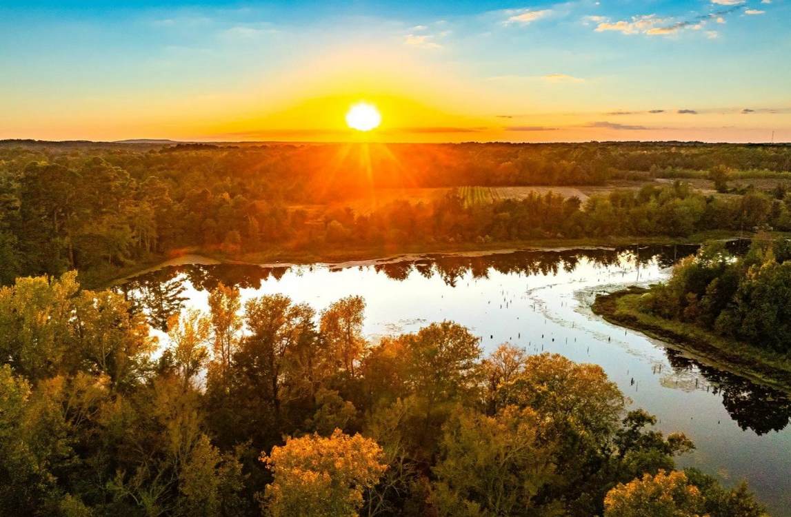 Family Sells 650 Acres on East Texas Lake to Become State Park, Saying Land is ‘Part of my soul’